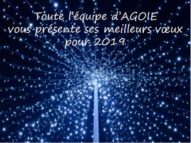 You are currently viewing Bonne année 2019