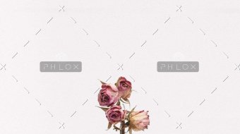 demo-attachment-1111-tanalee-youngblood-fsdWYNTymjI-unsplash-1024x1024