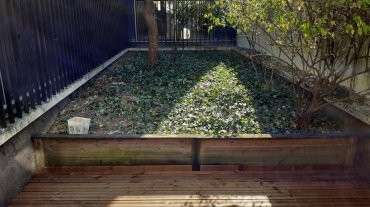 119893155_3395858800436994_8622786632942627428_n